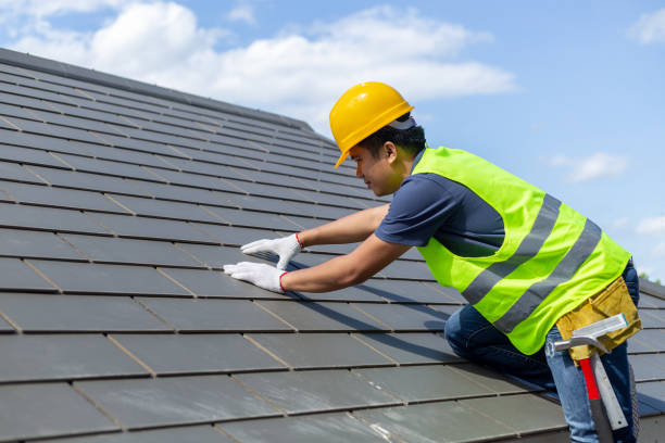 Best Roof Insulation Installation  in Ashley, PA