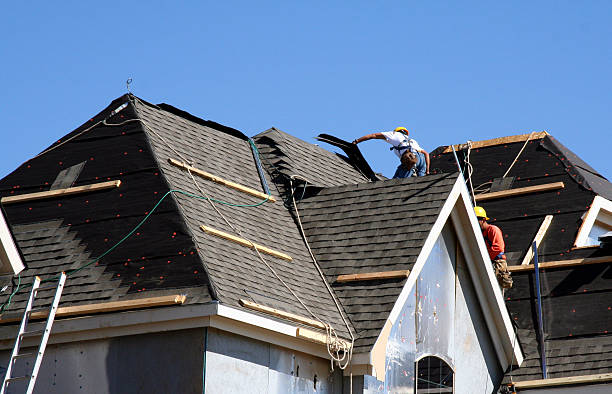 Best Roof Moss and Algae Removal  in Ashley, PA